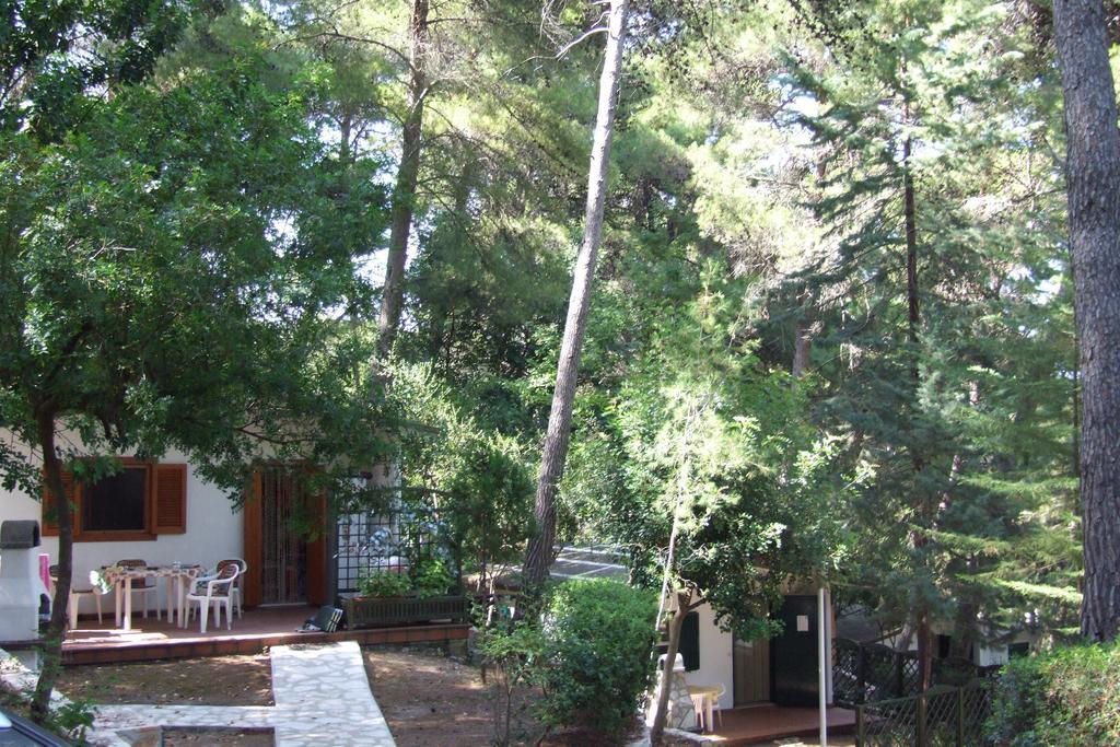 Camping Villaggio Internazionale سان مينايو الغرفة الصورة