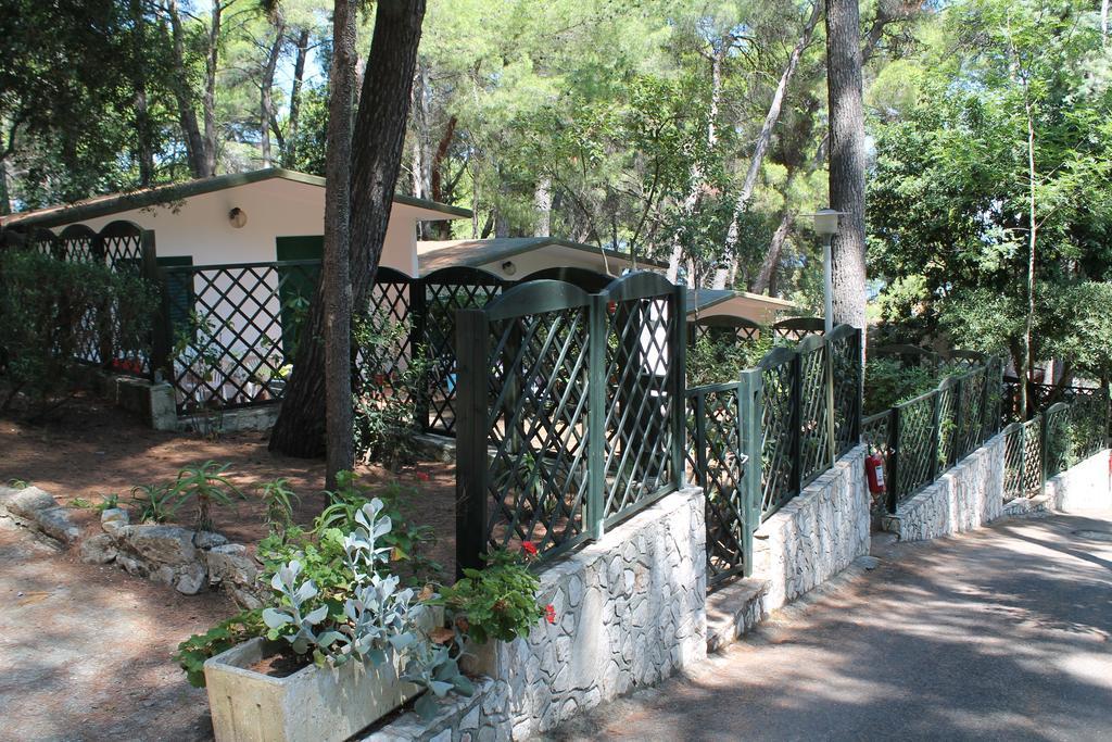 Camping Villaggio Internazionale سان مينايو الغرفة الصورة